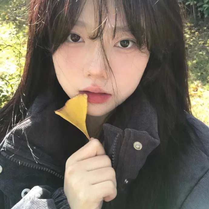 与你随行